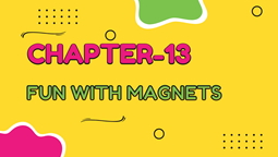 8TH NCERT Text Book-English